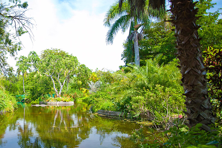 Dedicated to the original founder of Freeport, Wallace Groves, this garden, nature park and wildlife habitat is a lush landscape of ferns, waterfalls and tropical fruit trees. It’s home to butterflies and exotic birds. Have a drink and a snack on the deck of the Garden Cafe overlooking the pond.   (Photo Credit: © Lyndah Wells)